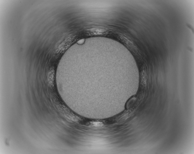 X0000102400509200808291448