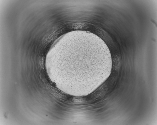 X0000102400510200808291448