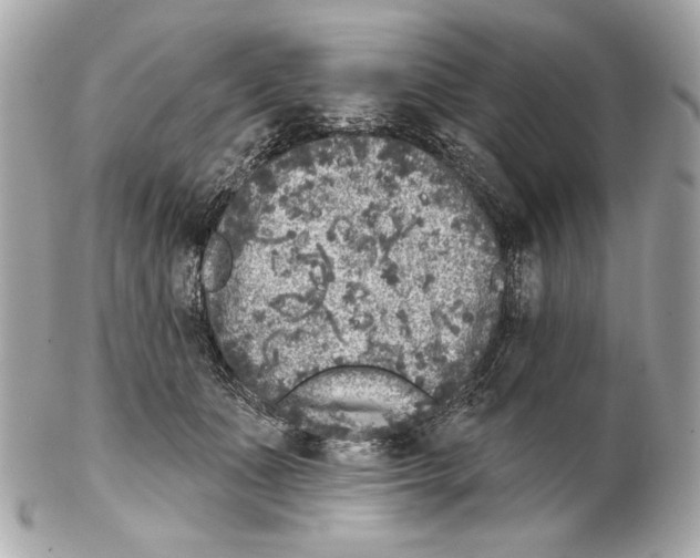 X0000102400511200808291448