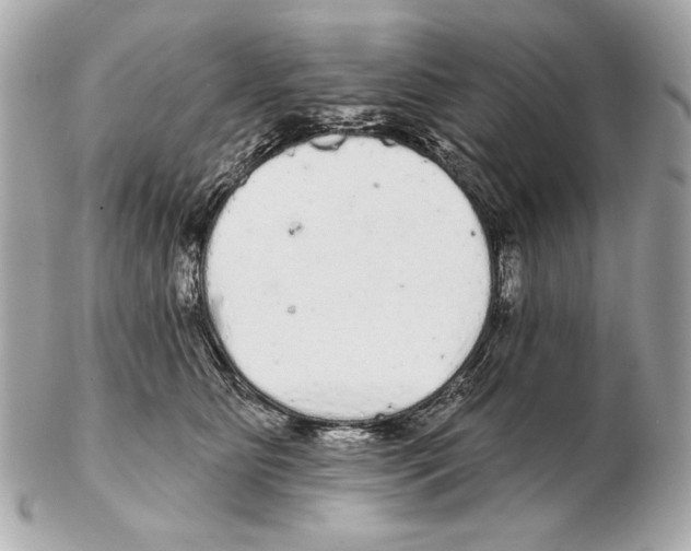 X0000102400515200808291448