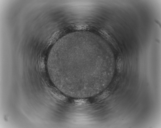 X0000102400516200808291448