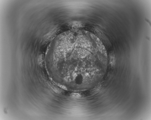 X0000102400519200808291448