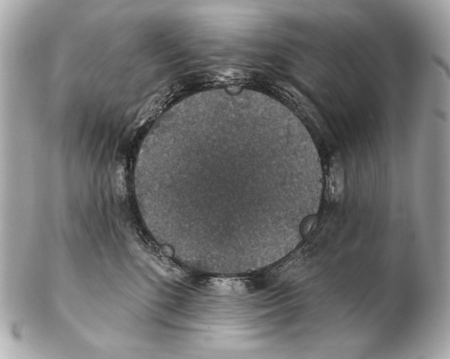 X0000102400520200808291448