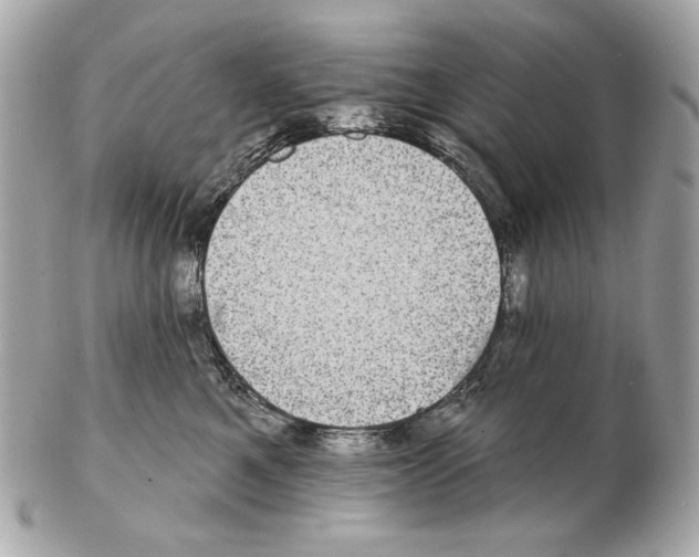 X0000102400521200808291448