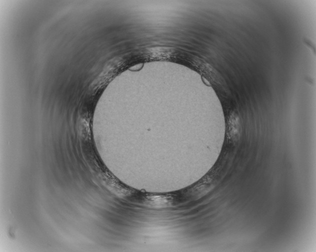 X0000102400522200808291448