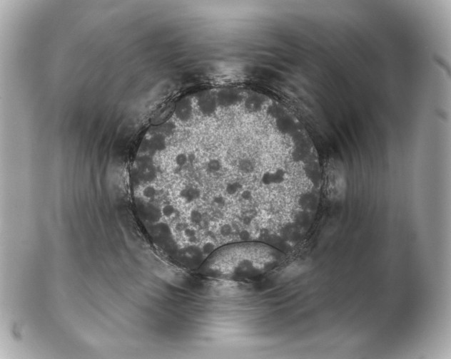 X0000102400523200808291448