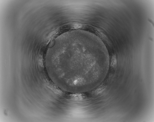X0000102400524200808291448