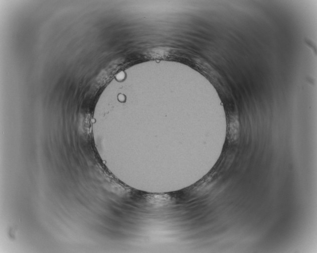 X0000102400525200808291448