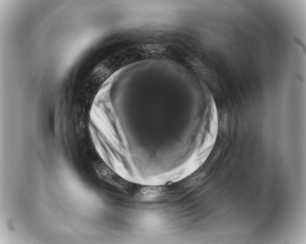 X0000102400526200808291448
