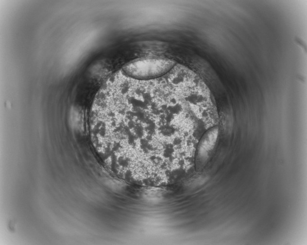 X0000102400527200808291448