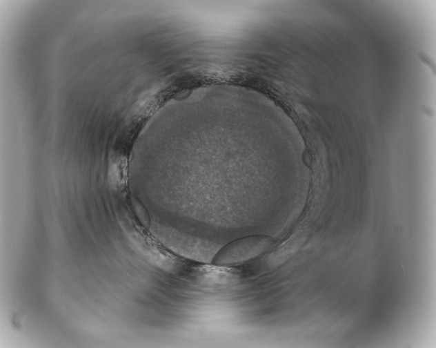 X0000102400528200808291448