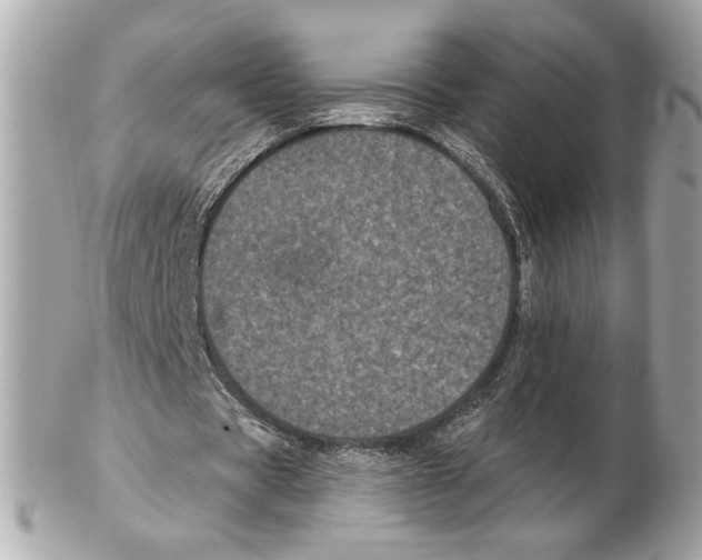 X0000102400529200808291447