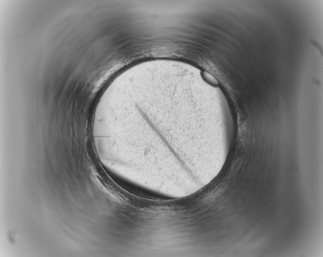 X0000102400530200808291447