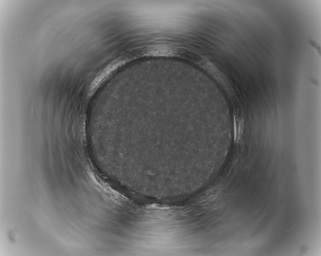 X0000102400531200808291447