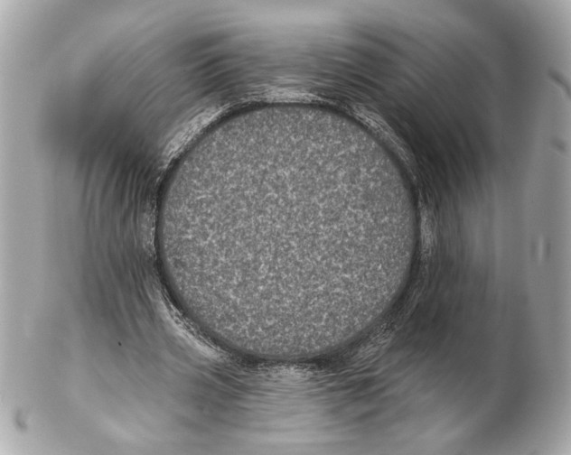 X0000102400533200808291447