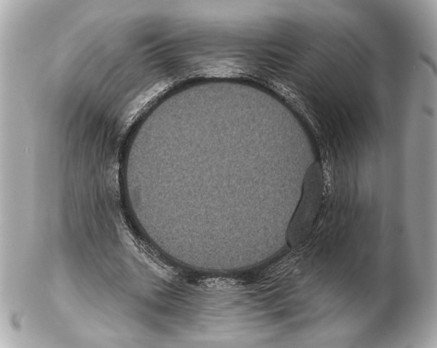 X0000102400535200808291447