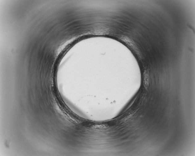 X0000102400536200808291447