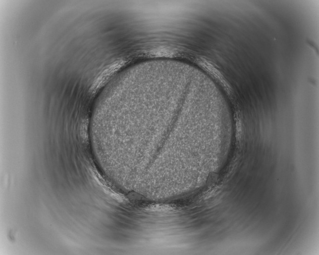 X0000102400537200808291447