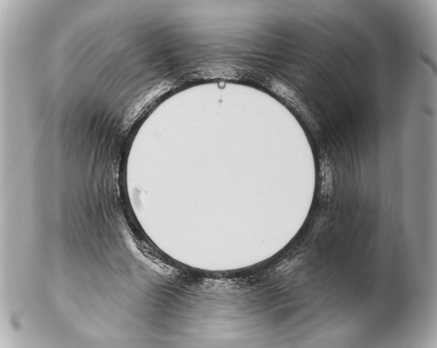 X0000102400538200808291447