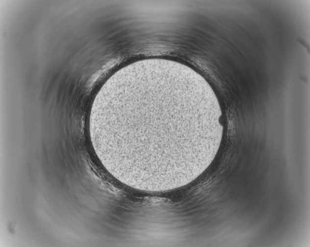X0000102400539200808291447