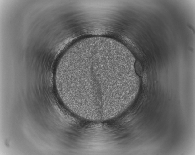 X0000102400540200808291447