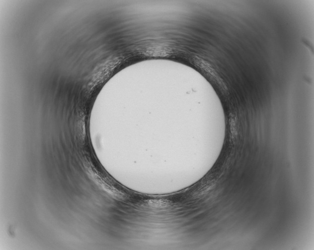 X0000102400541200808291447