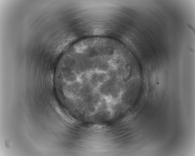 X0000102400542200808291447