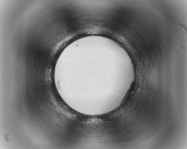 X0000102400543200808291447