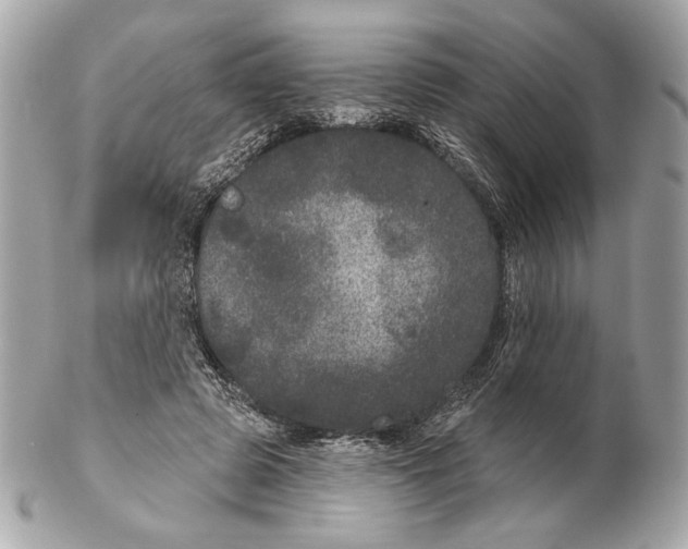 X0000102400545200808291448