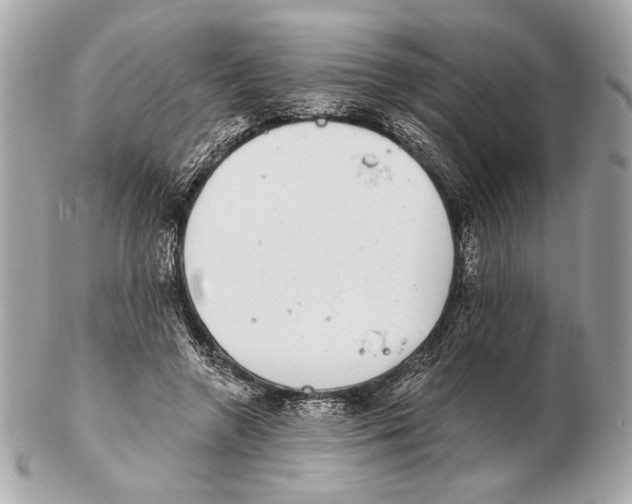X0000102400546200808291448