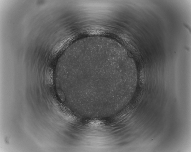 X0000102400547200808291448