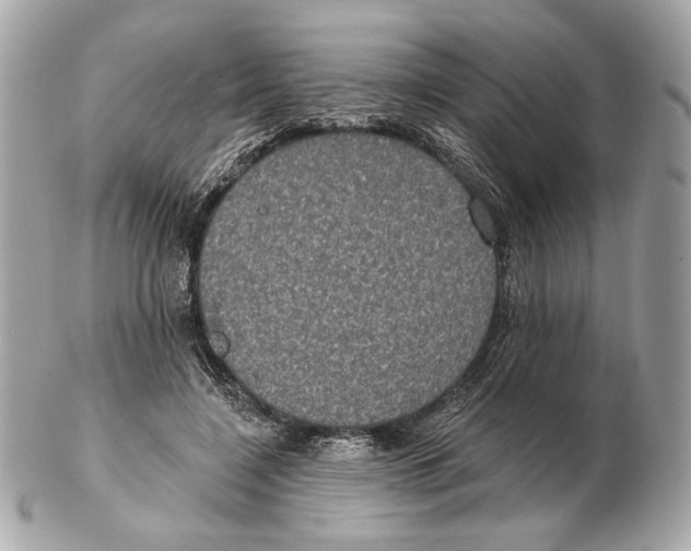 X0000102400548200808291448