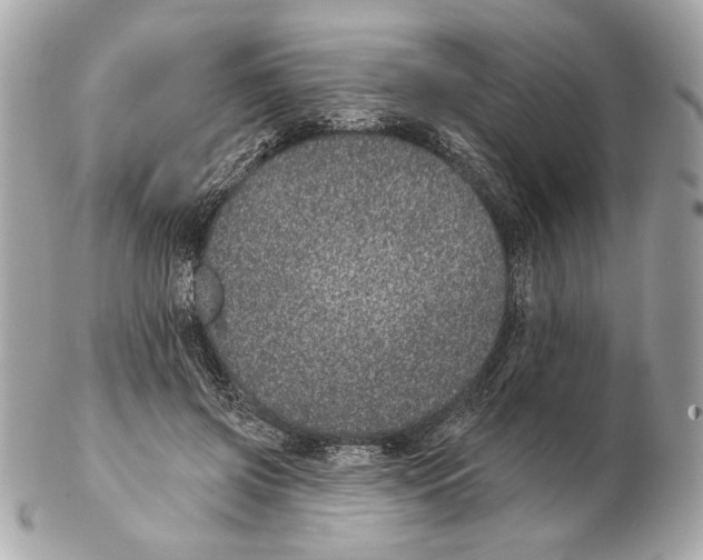 X0000102400549200808291448