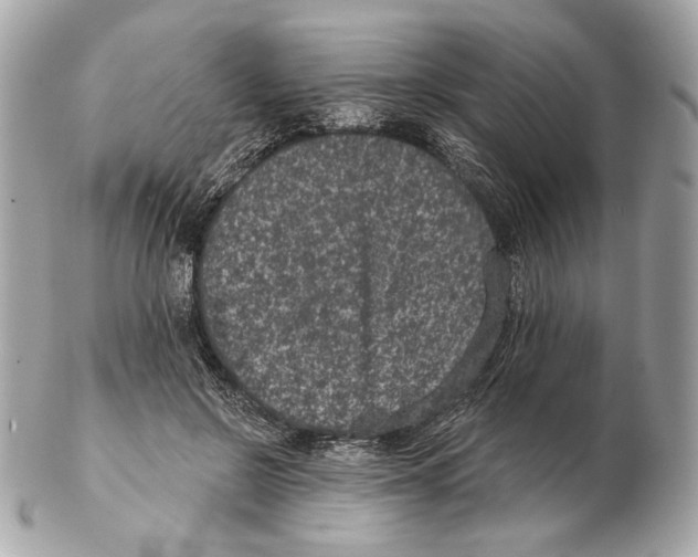 X0000102400550200808291448