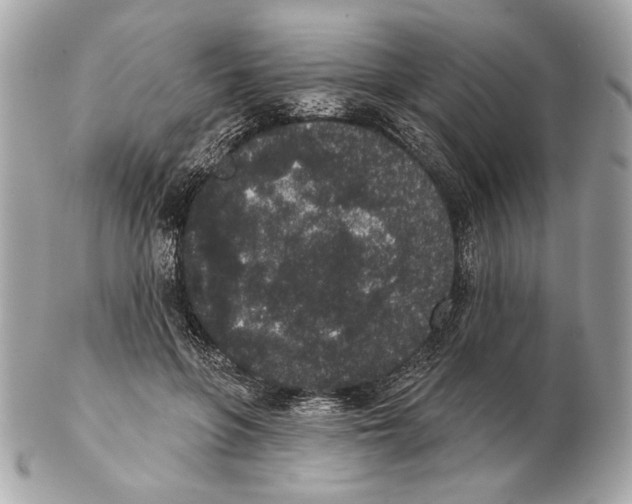 X0000102400551200808291448