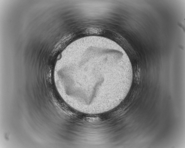 X0000102400552200808291448