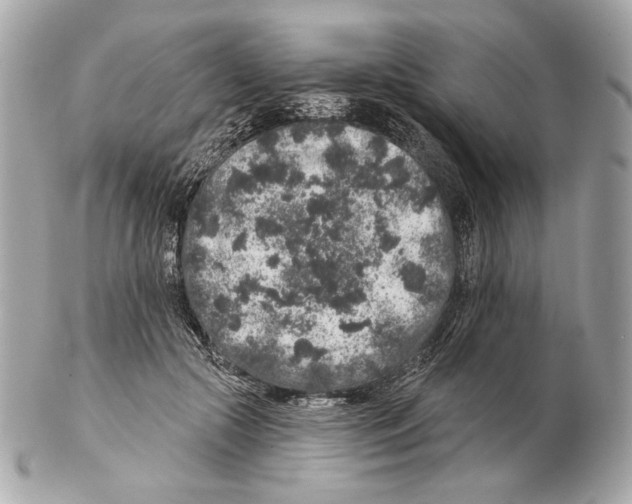 X0000102400553200808291448