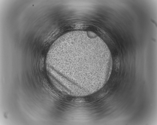 X0000102400554200808291448
