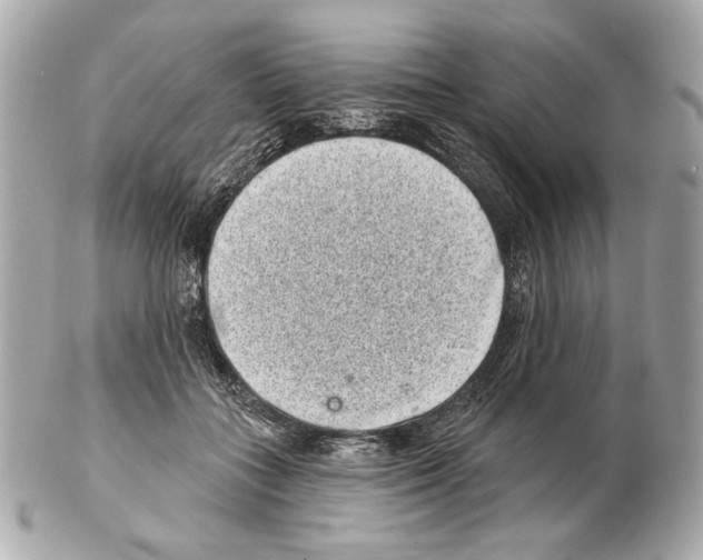 X0000102400555200808291448