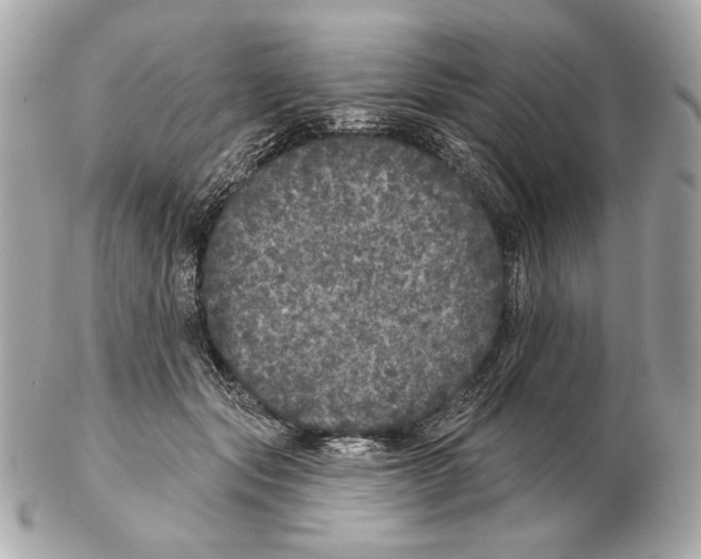 X0000102400557200808291448