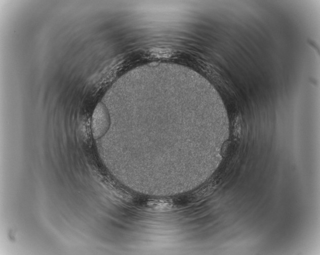 X0000102400559200808291448