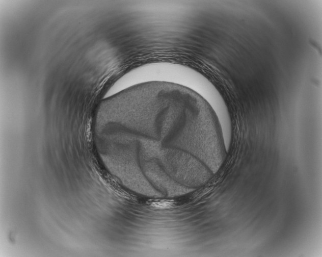 X0000102400560200808291448
