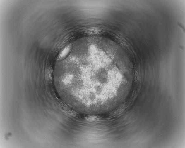X0000102400561200808291448