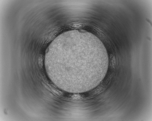 X0000102400562200808291448