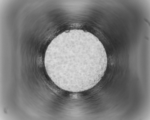 X0000102400564200808291448