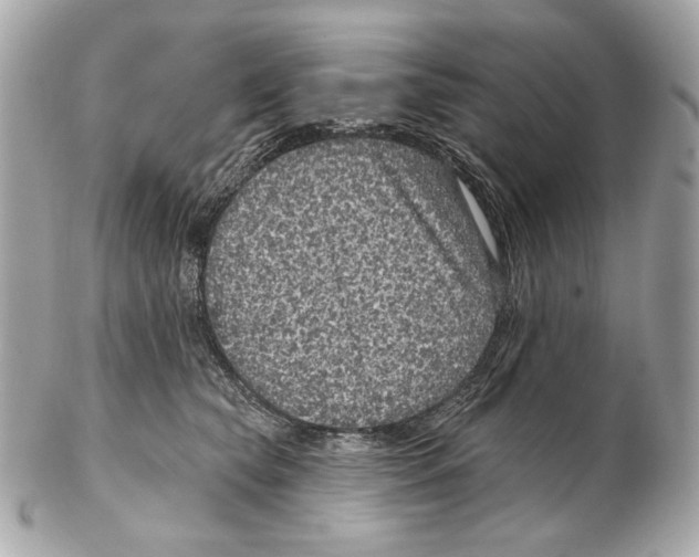 X0000102400565200808291448