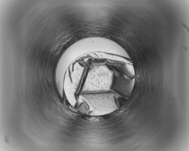 X0000102400566200808291448
