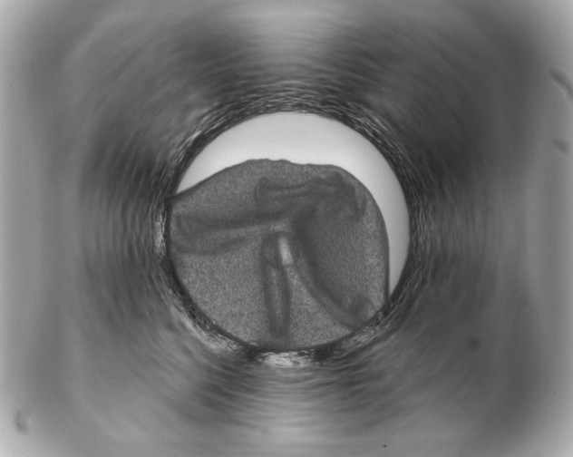 X0000102400568200808291448