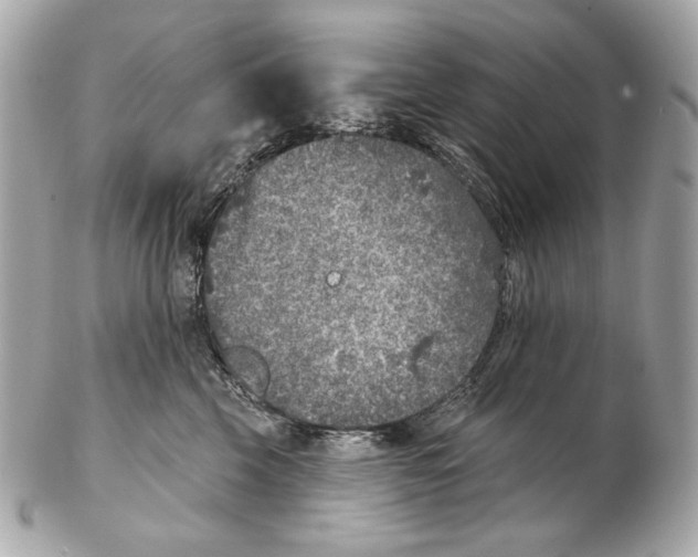 X0000102400569200808291448