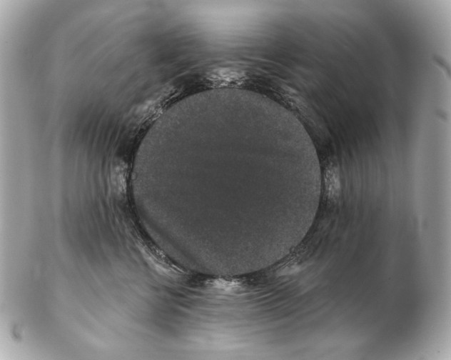X0000102400570200808291448